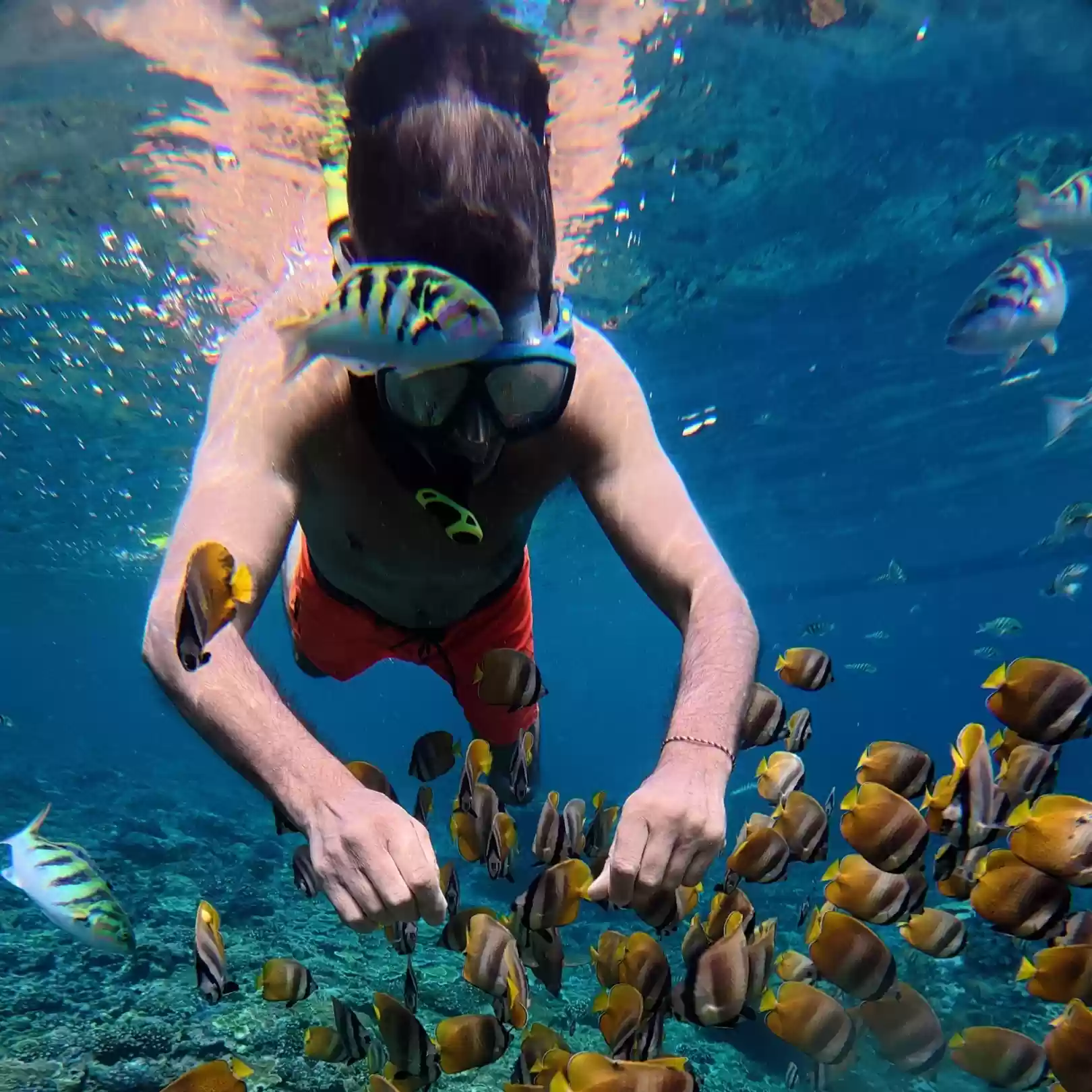 Nusa Penida Snorkeling Adventure