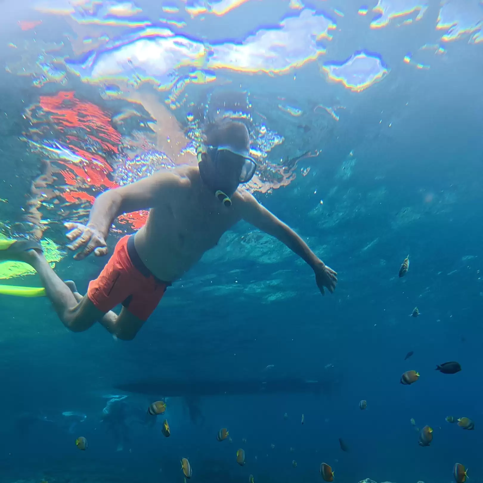Nusa Penida Snorkeling Adventure