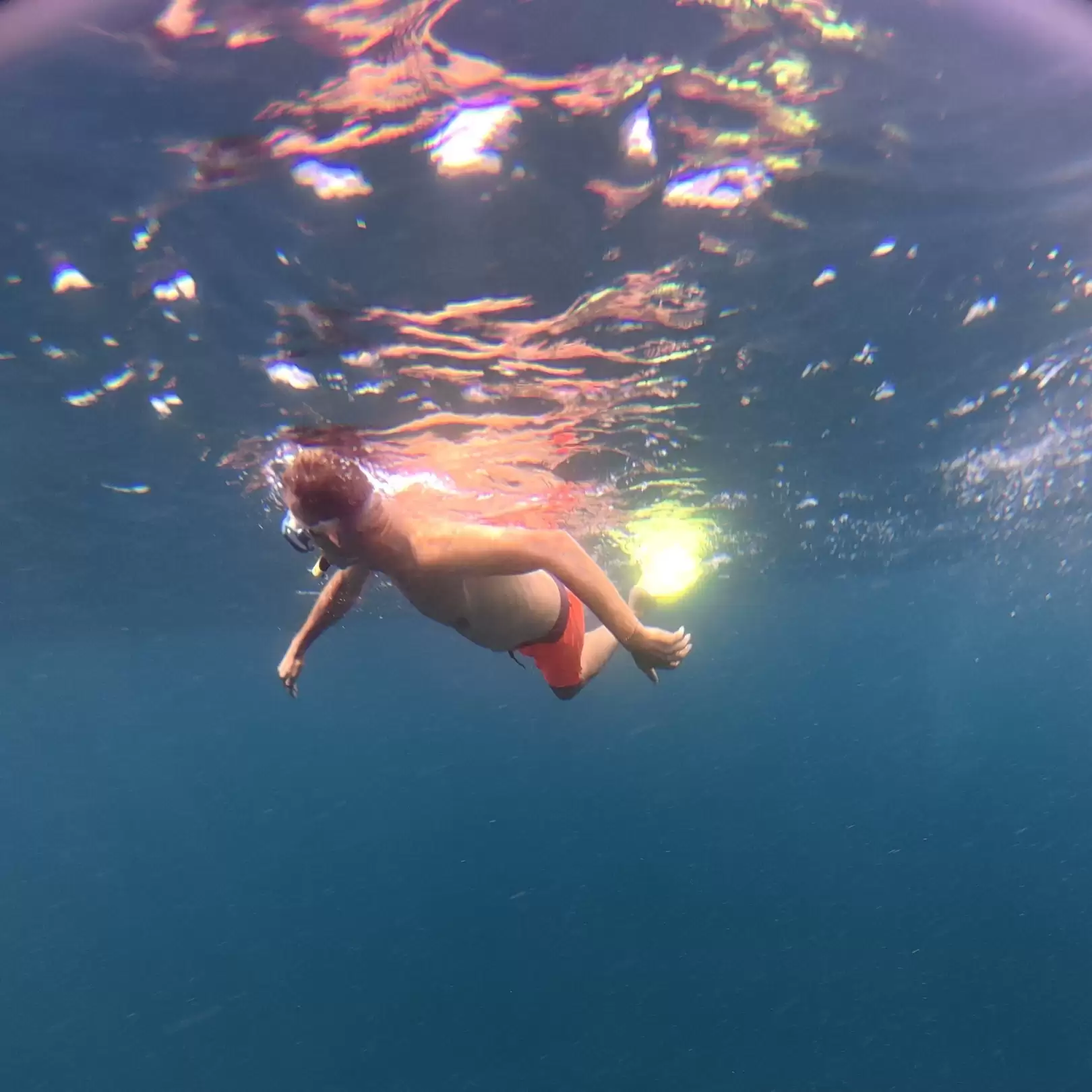 Nusa Penida Snorkeling Adventure