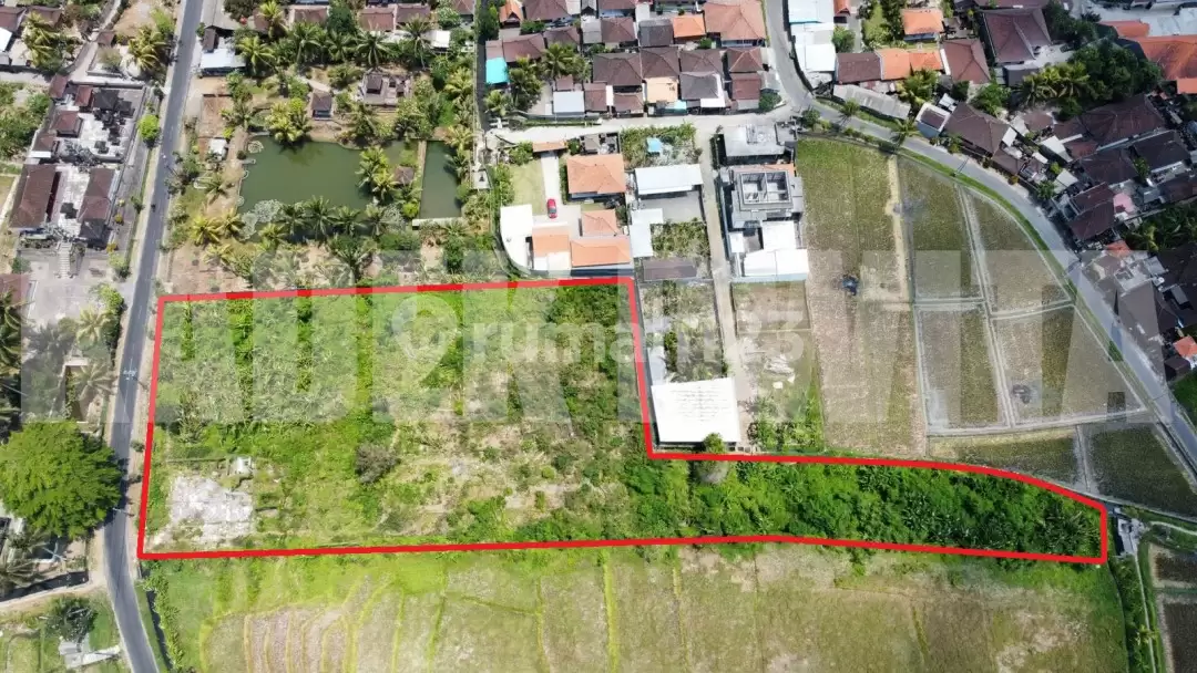 Dijual Tanah Datar Strategis di Kaba-Kaba Tabanan – Dekat Munggu & Seseh