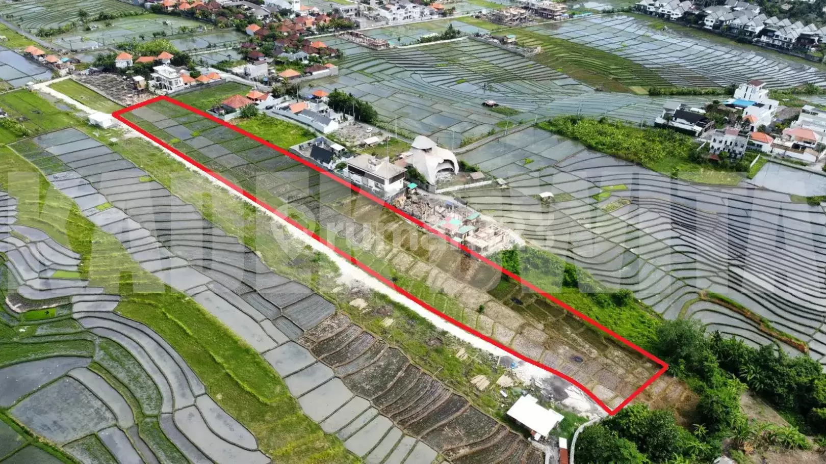 Disewakan Tanah View Sawah di Pantai Cemagi, Badung – Kawasan Pariwisata Hijau