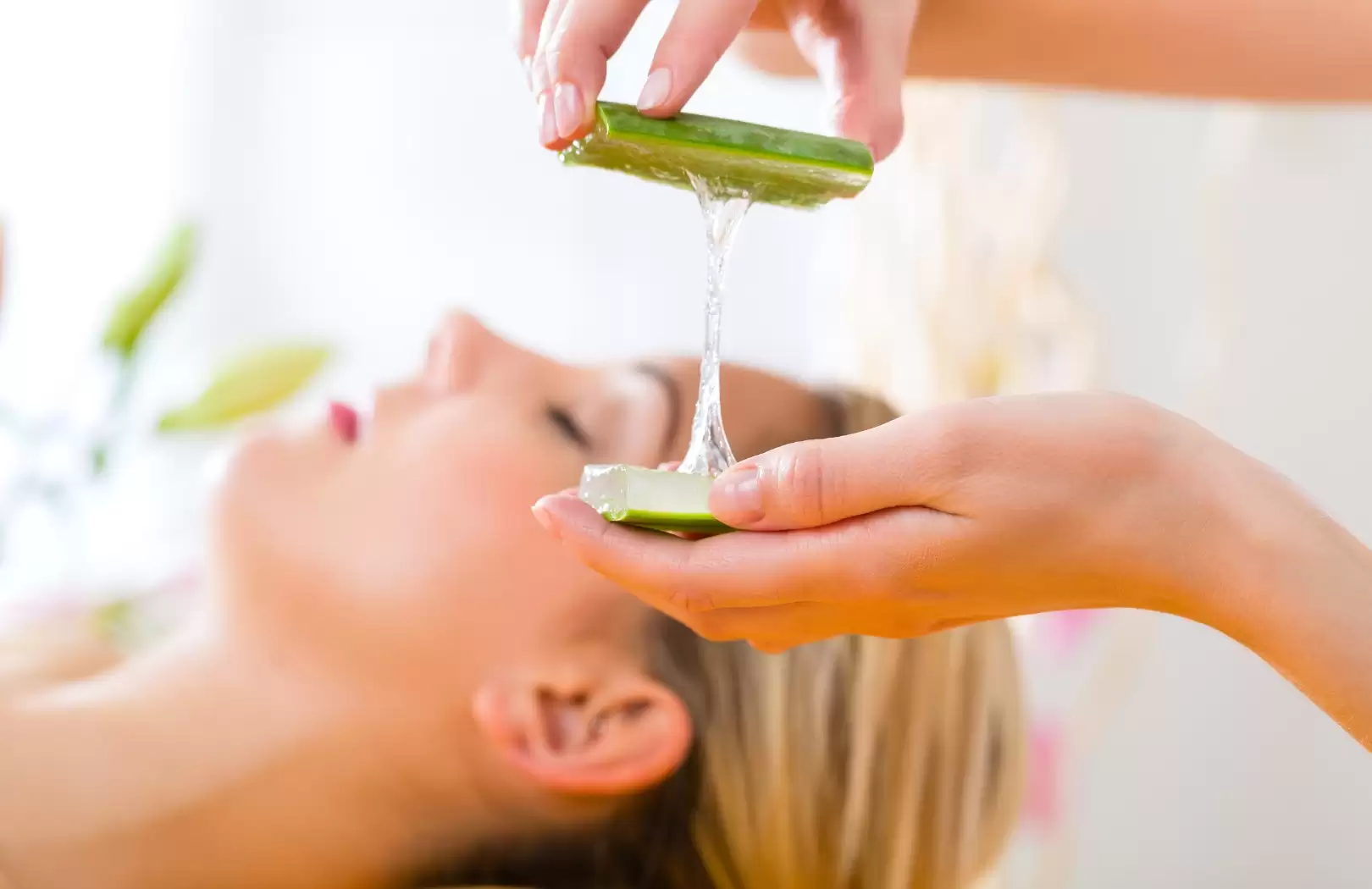 Fresh Aloevera Scrub