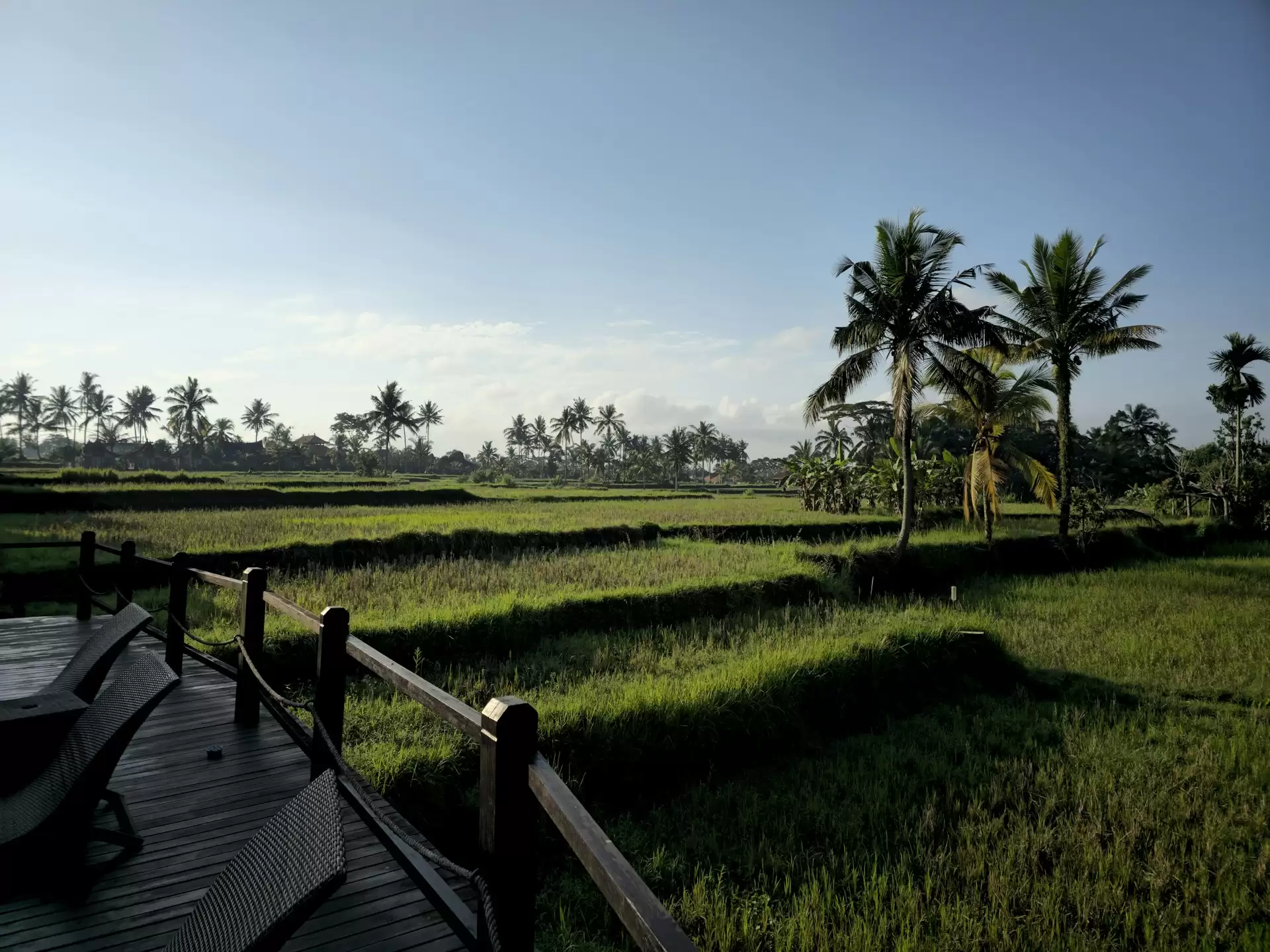 KD Property Bali