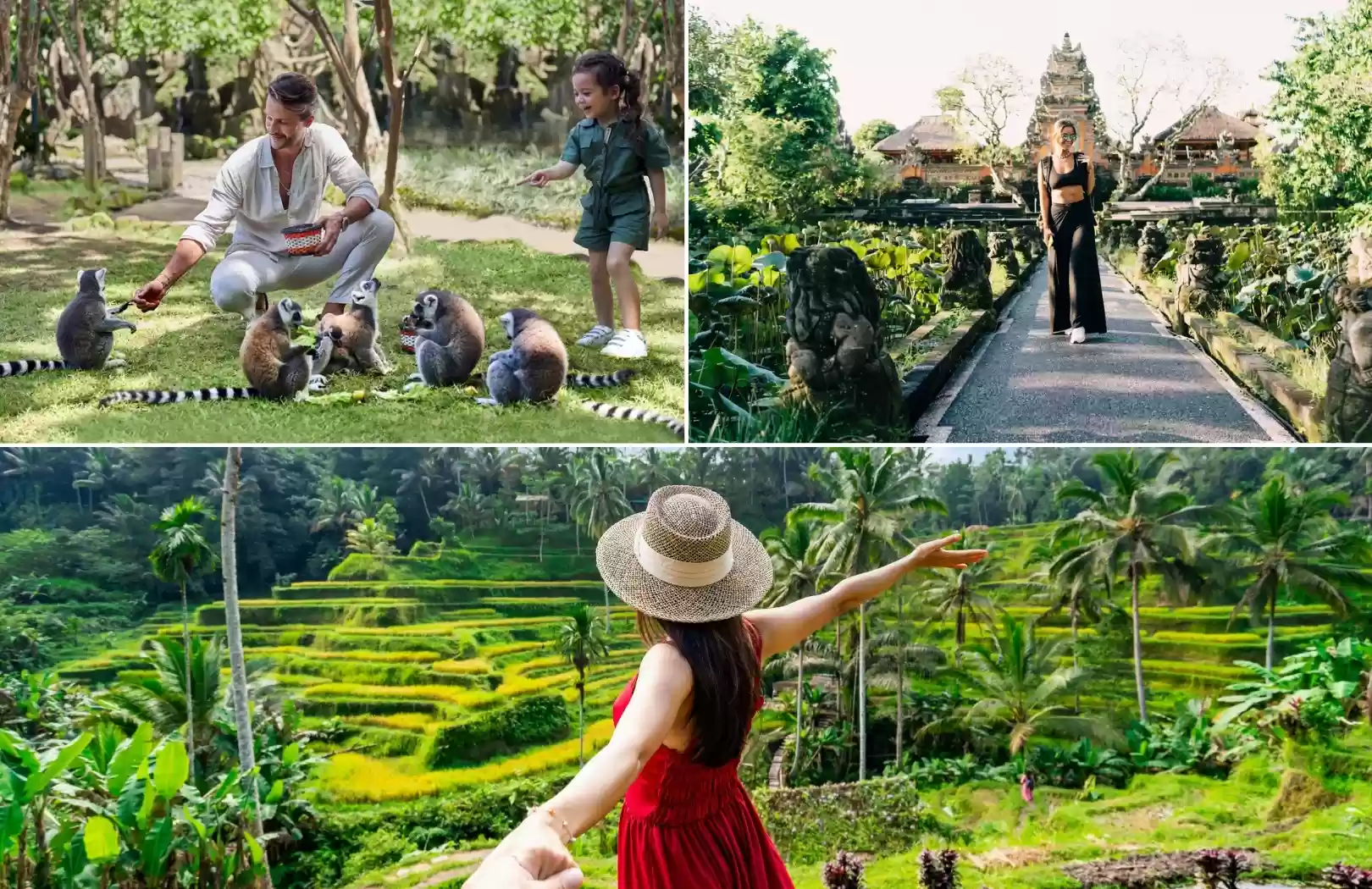 Bali Zoo & Ubud Cultural Journey