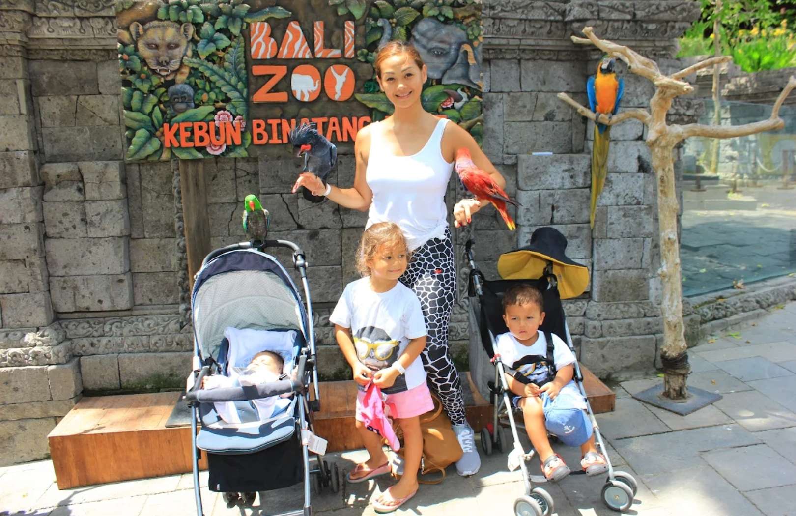Bali Zoo Explorer Tour
