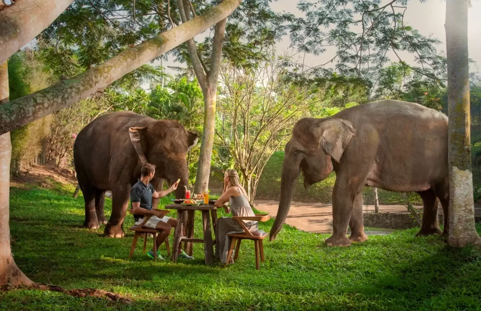 Elephant Expedition at Bali Zoo