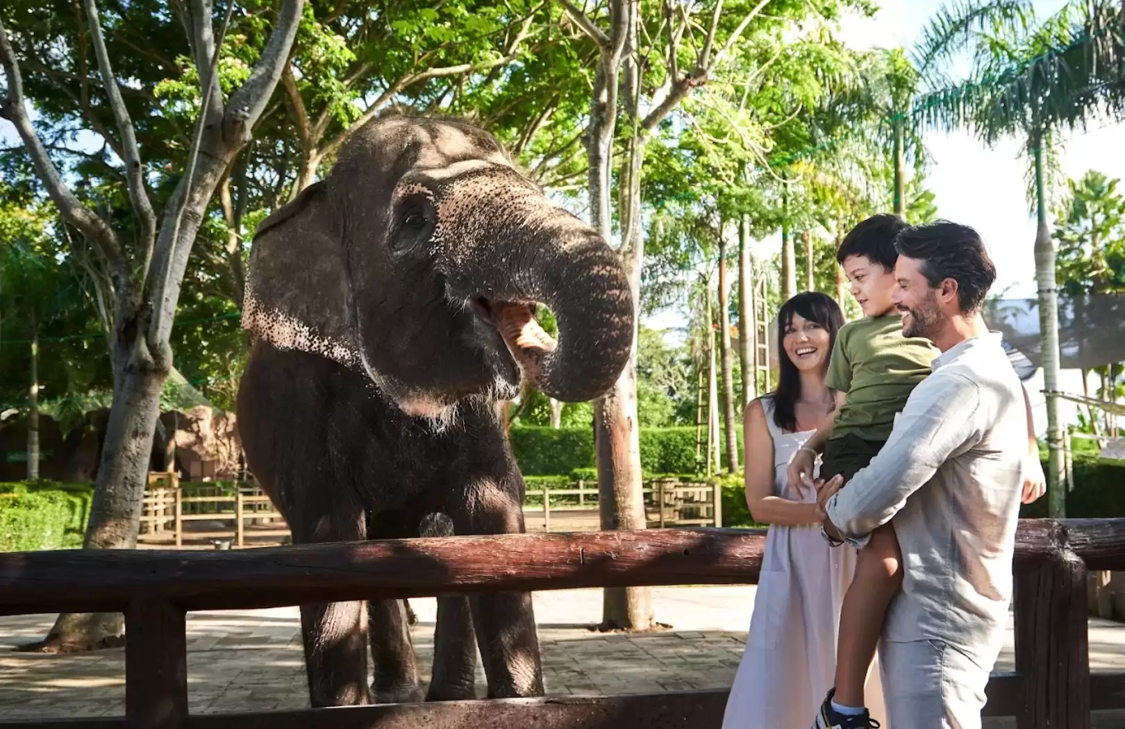 Breakfast With Orangutan & Elephant Mud Fun Experience