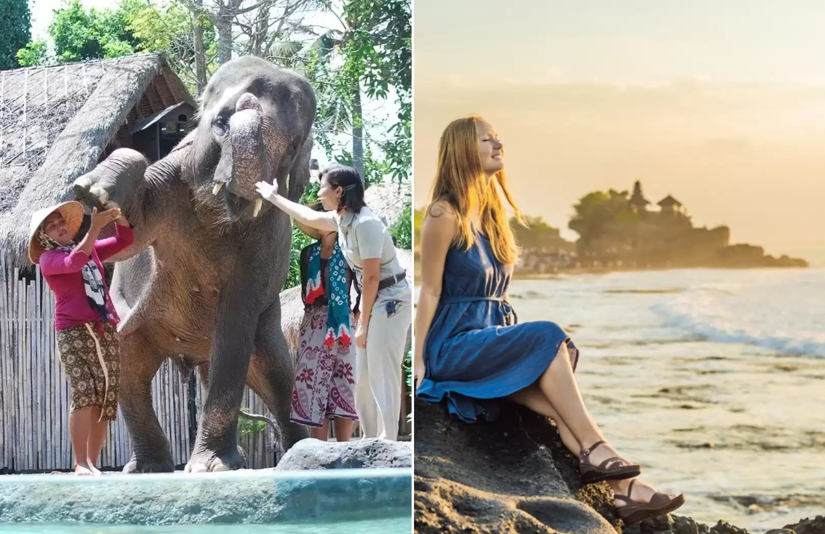 Jungle Hopper & Tanah Lot Sunset Tour