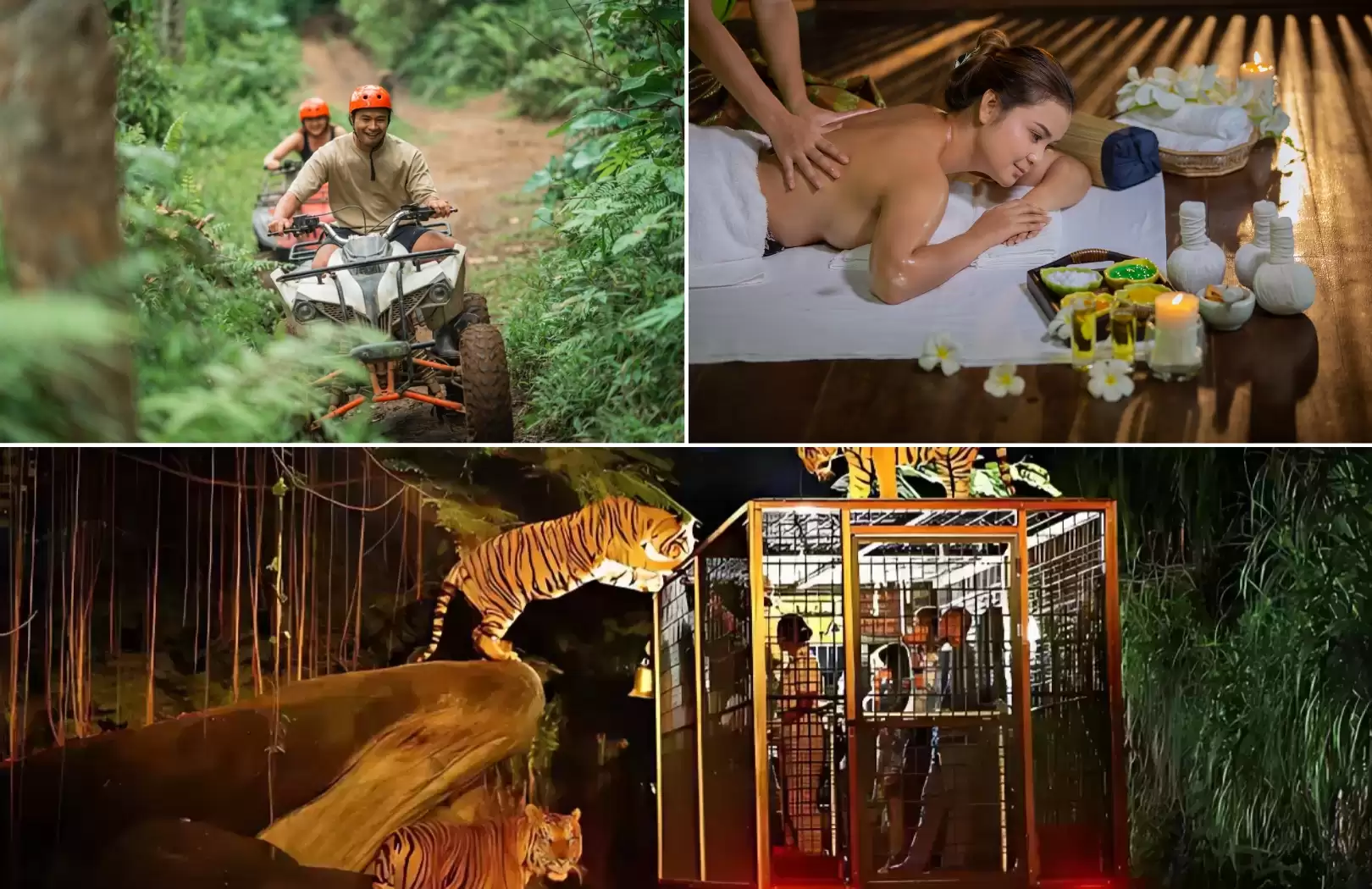 ATV Ride, Spa & Night Safari Experience