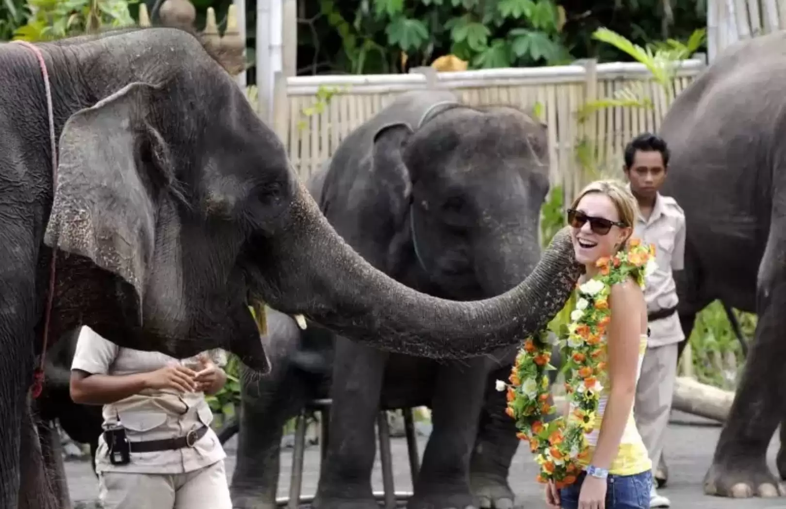 Bali Safari Combo Activities