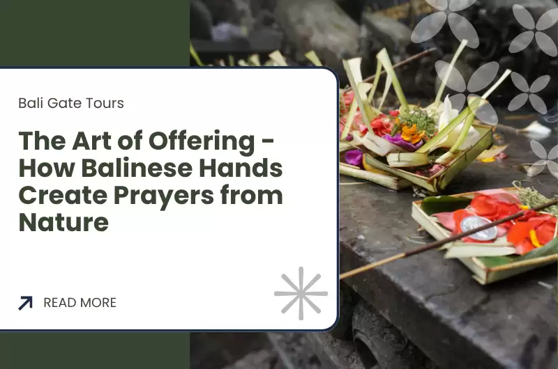 The Art of Offering - How Balinese Hands Create Prayers from Nature