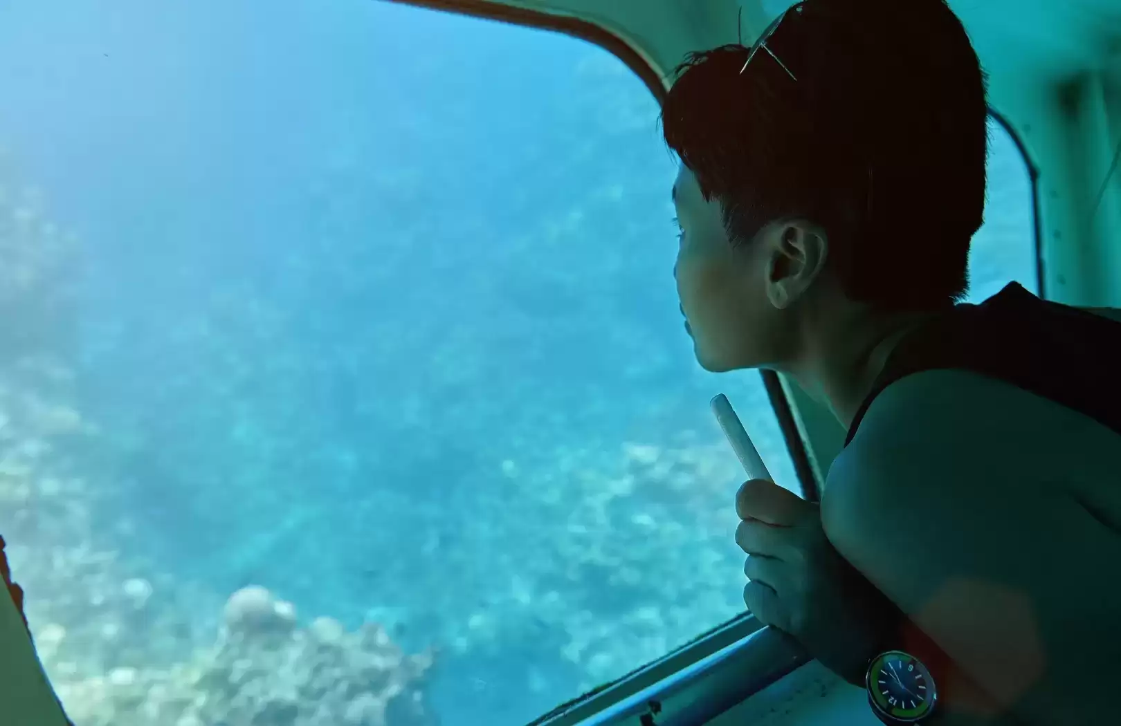 Turtle Island Tour – Glass Bottom Boat Adventure at Tanjung Benoa