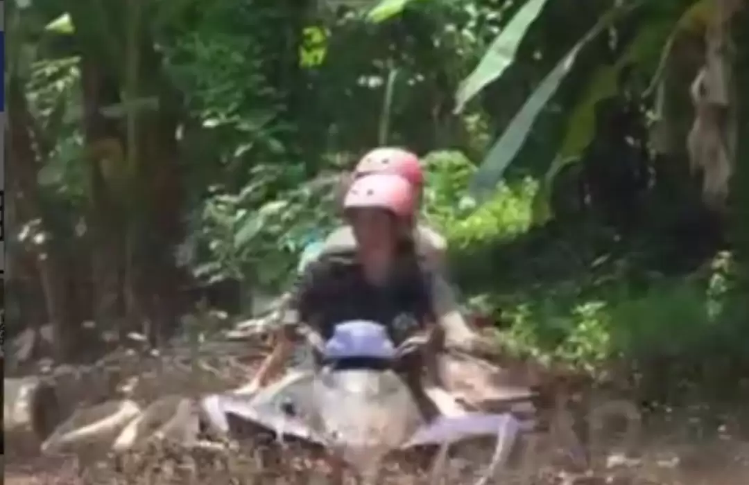 ATV and Jungle Obstacle Course - Challenge Yourself in Ubud Terrain