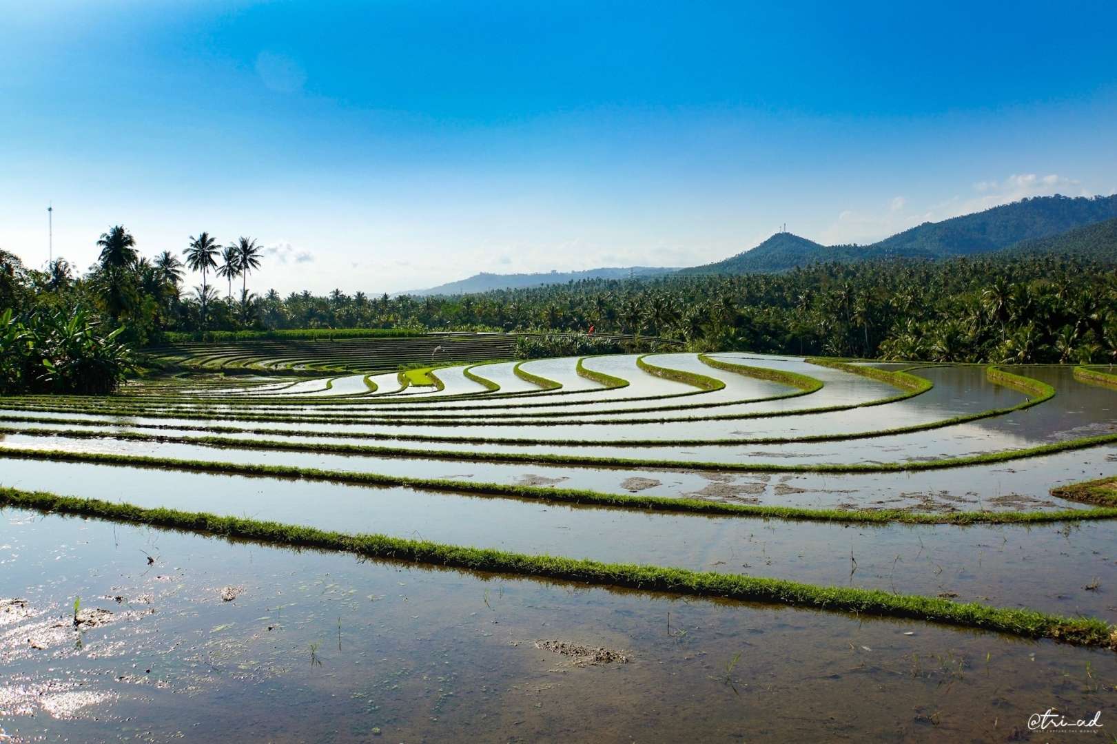 Saujana Subak di Gianyar