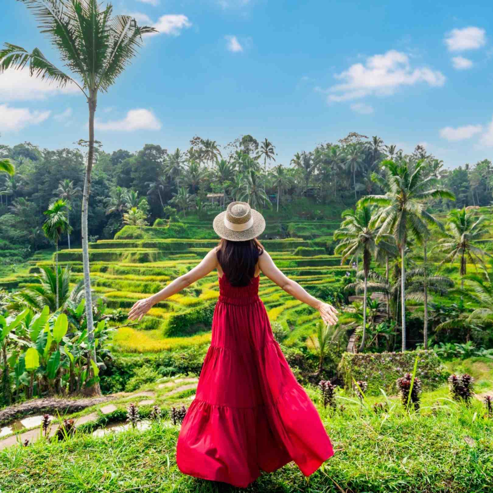 Explore Bali with Confidence and Comfort