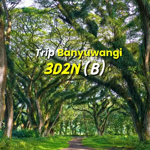 Paket Trip 3D2N B