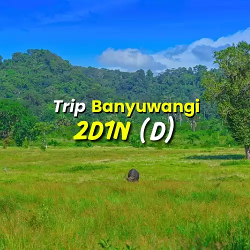 Paket Trip 2D1N D