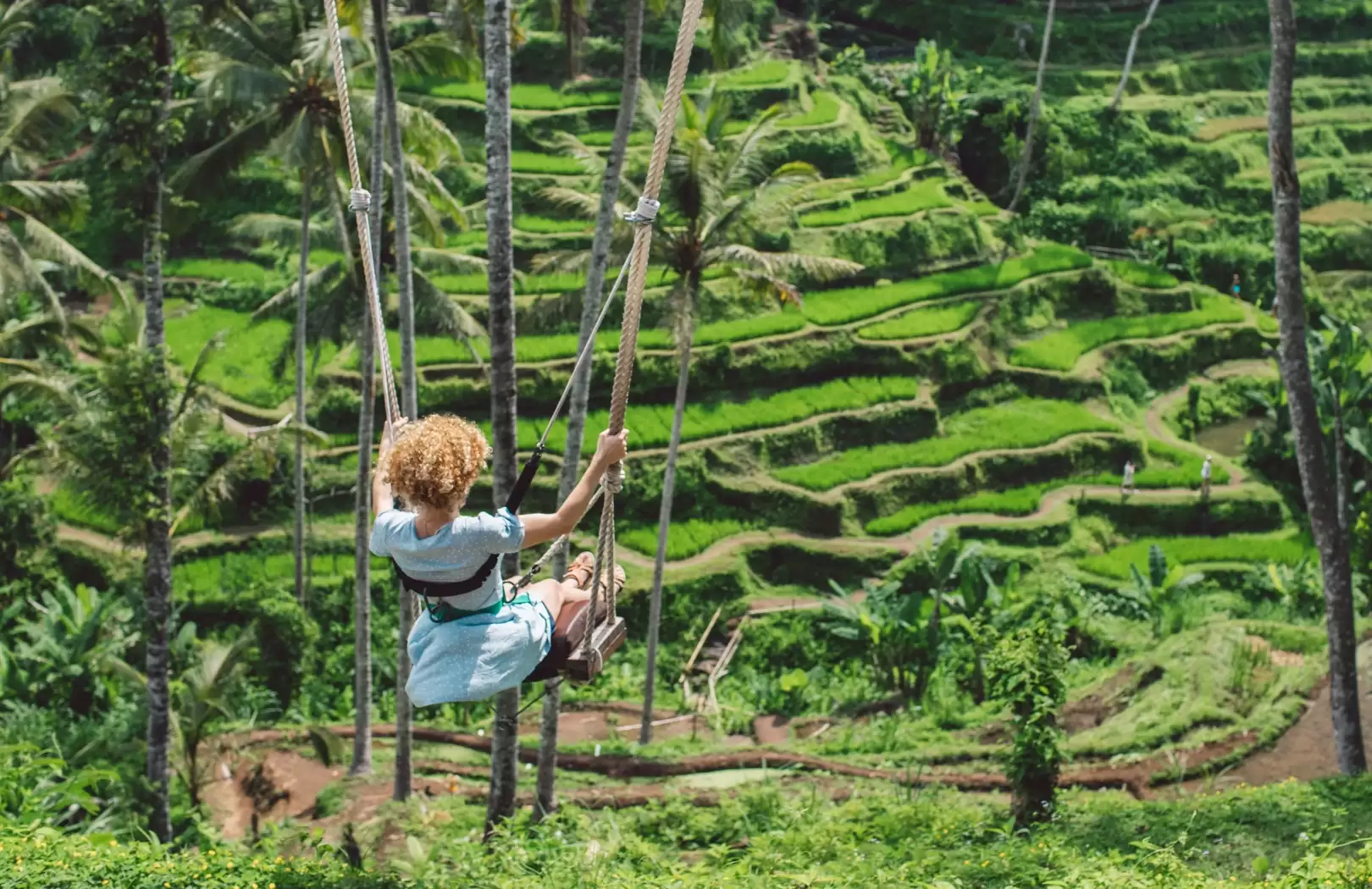 Bali Swing Experience