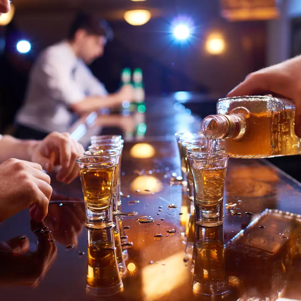 Alcohol License (SKPL)