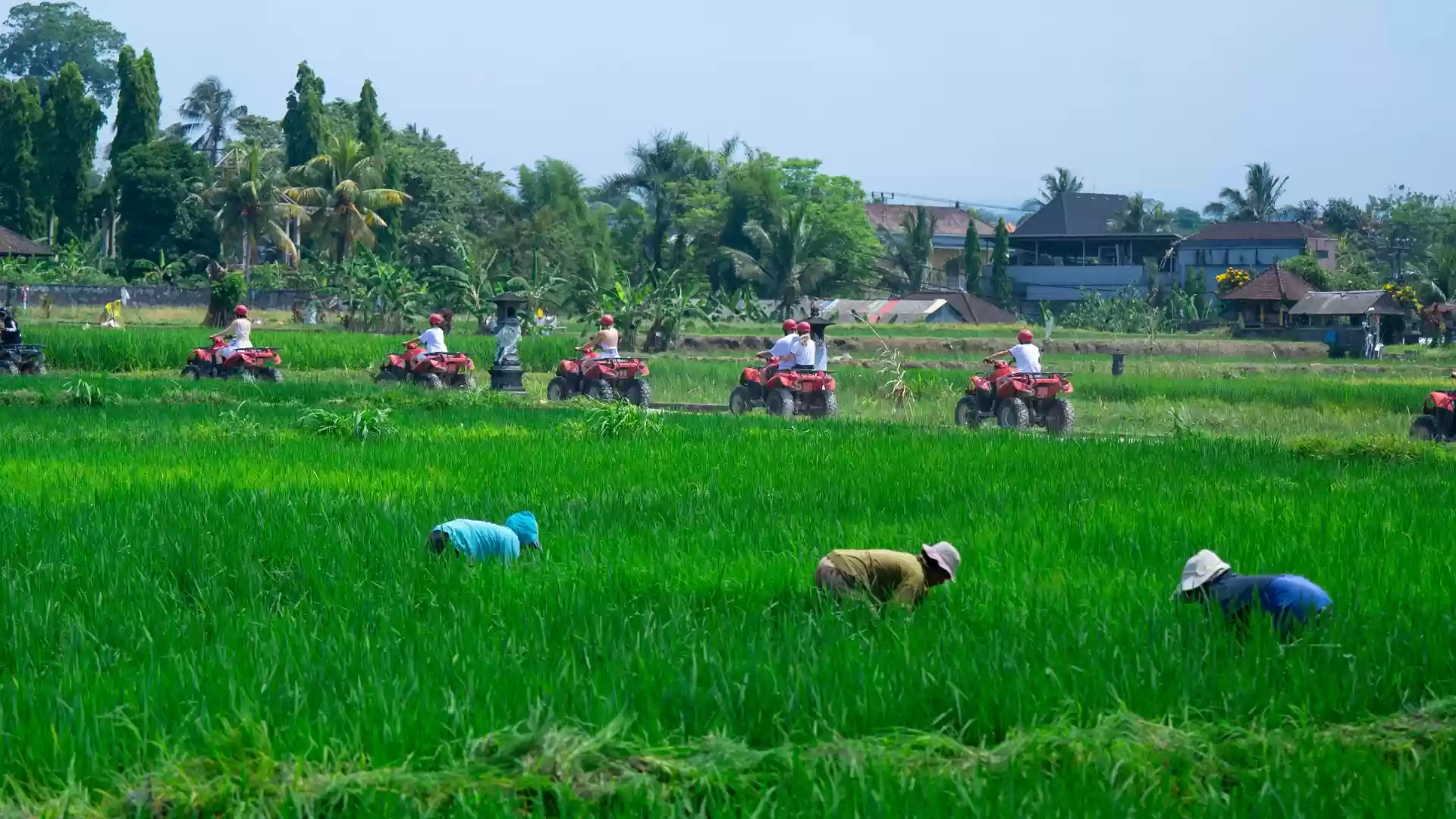 Kuber Bali Adventure