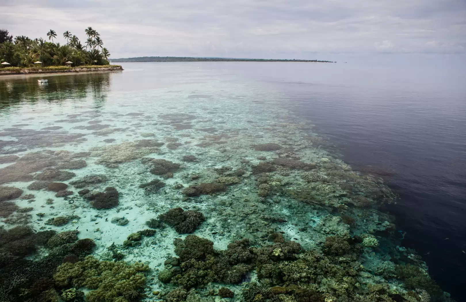 Sulawesi Cultural Route (12 Days / 11 Nights)