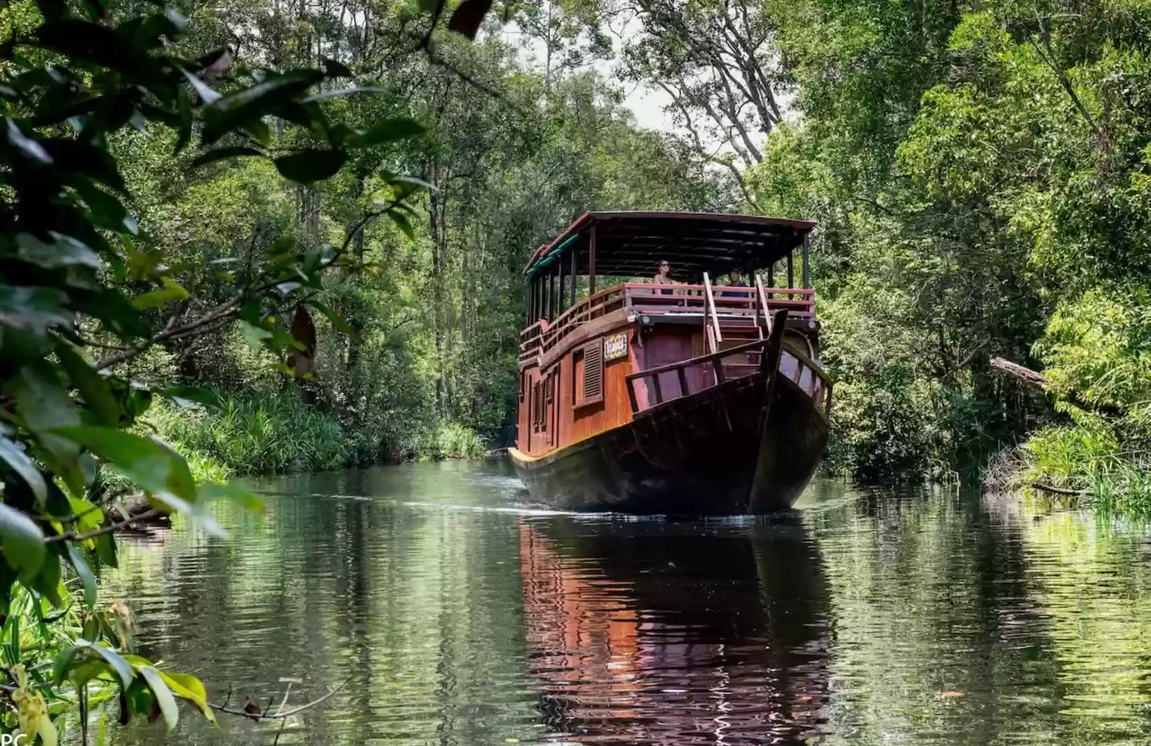 Borneo – Wildlife & Culture Encounter (5 Days / 4 Nights)