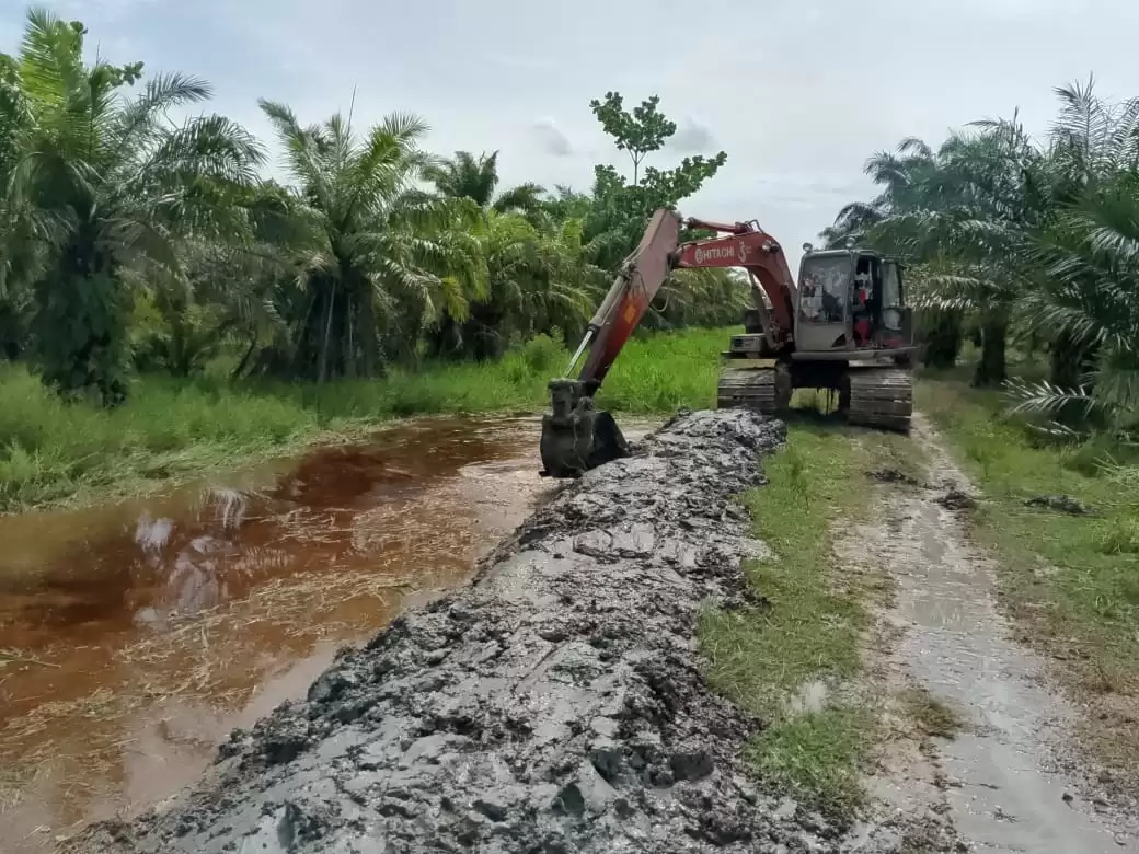 Normalisasi Parit di Karya Mulyo Sari Disambut Antusias Warga
