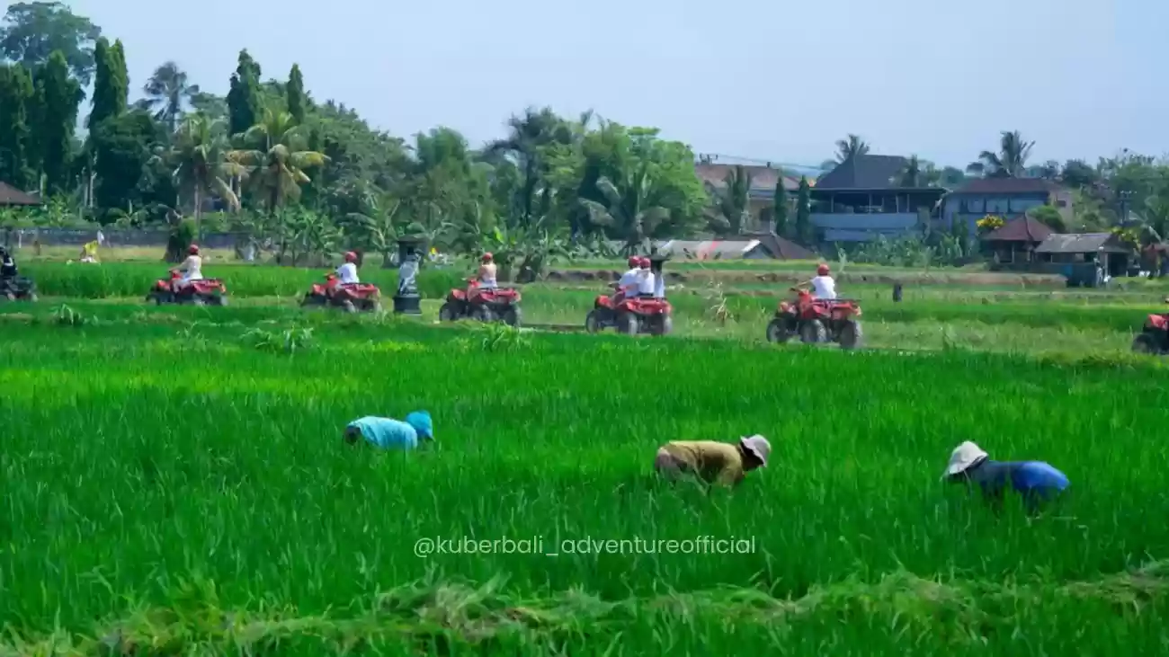 Kuber Bali Adventure