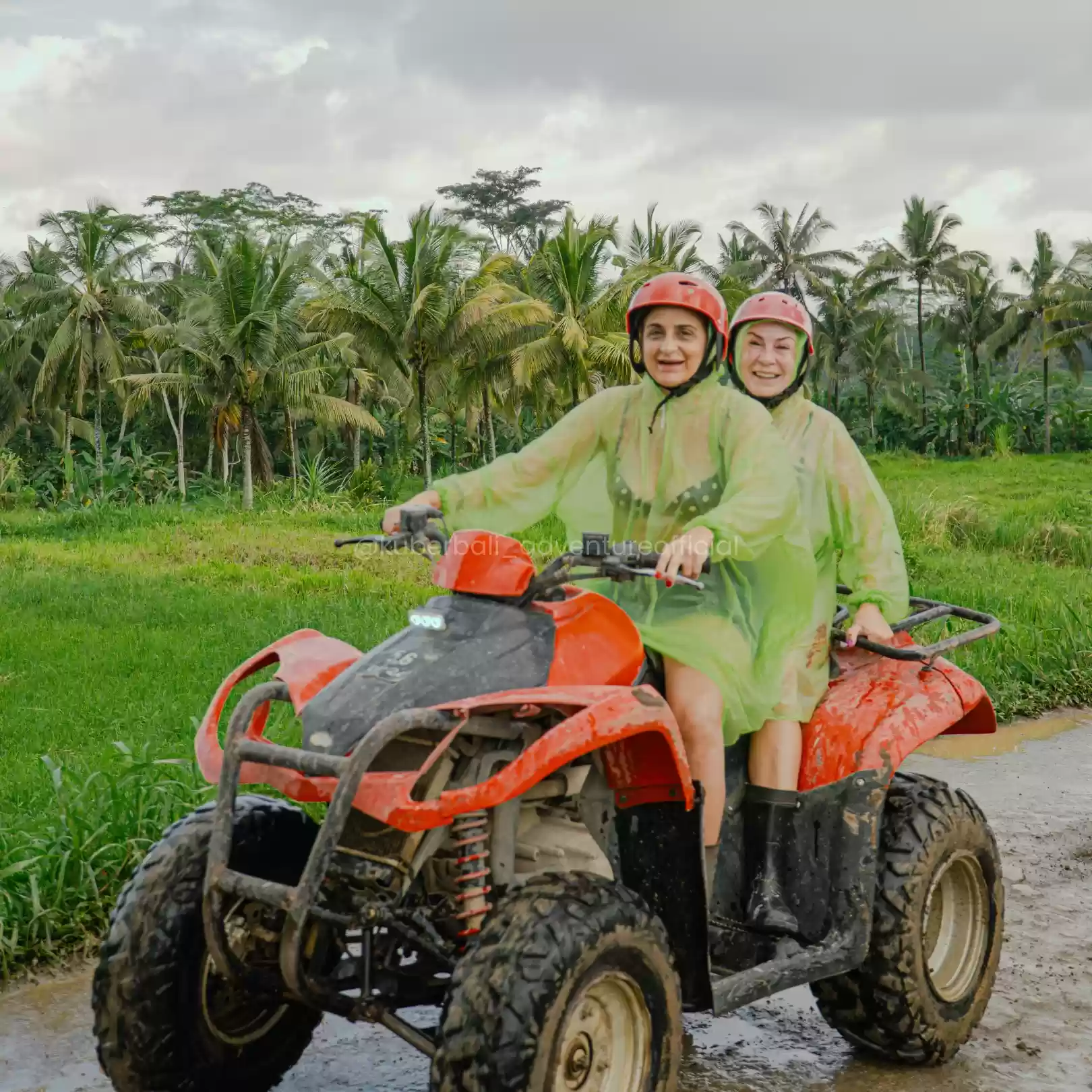 The Balinese Rice Field1