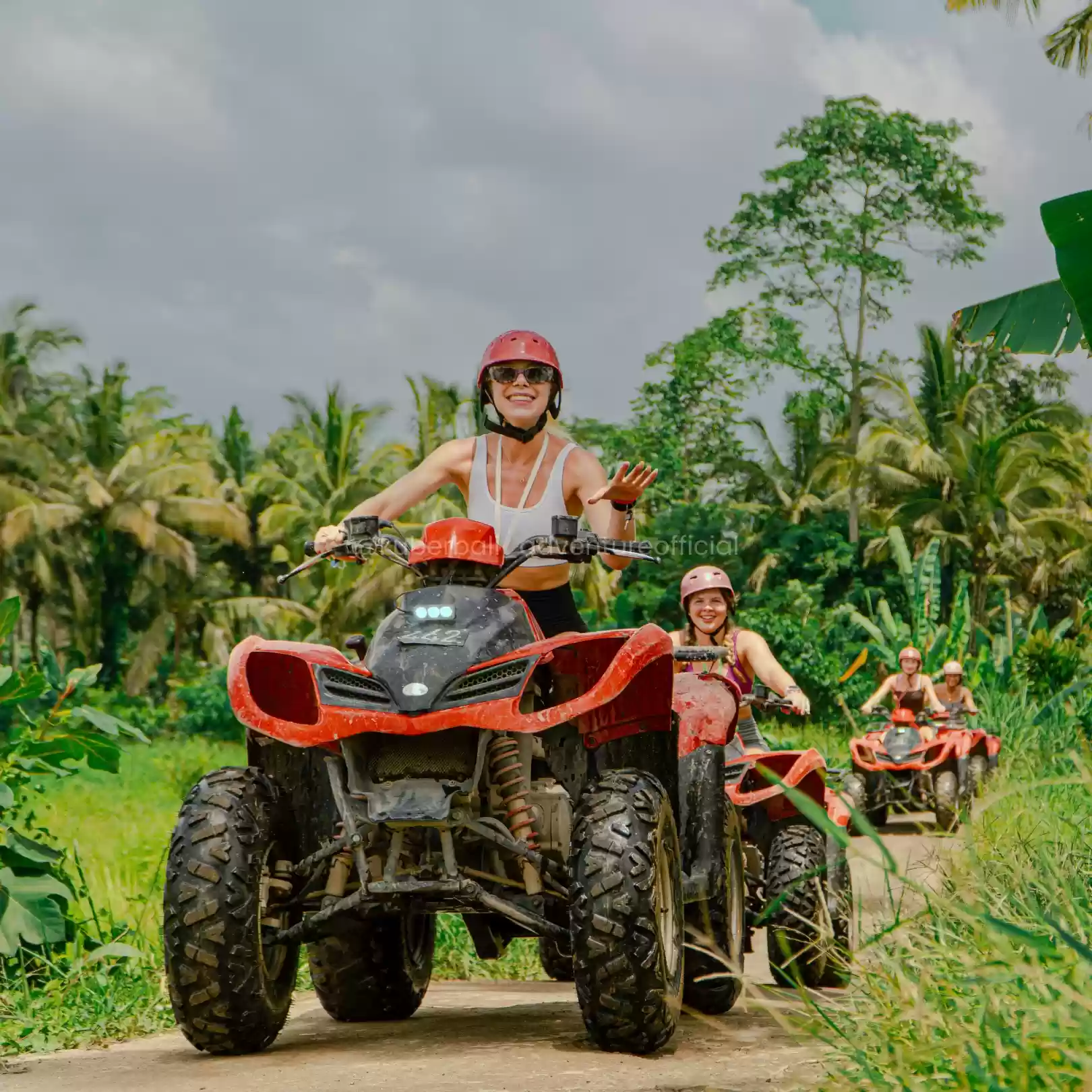 The Balinese Rice Field2
