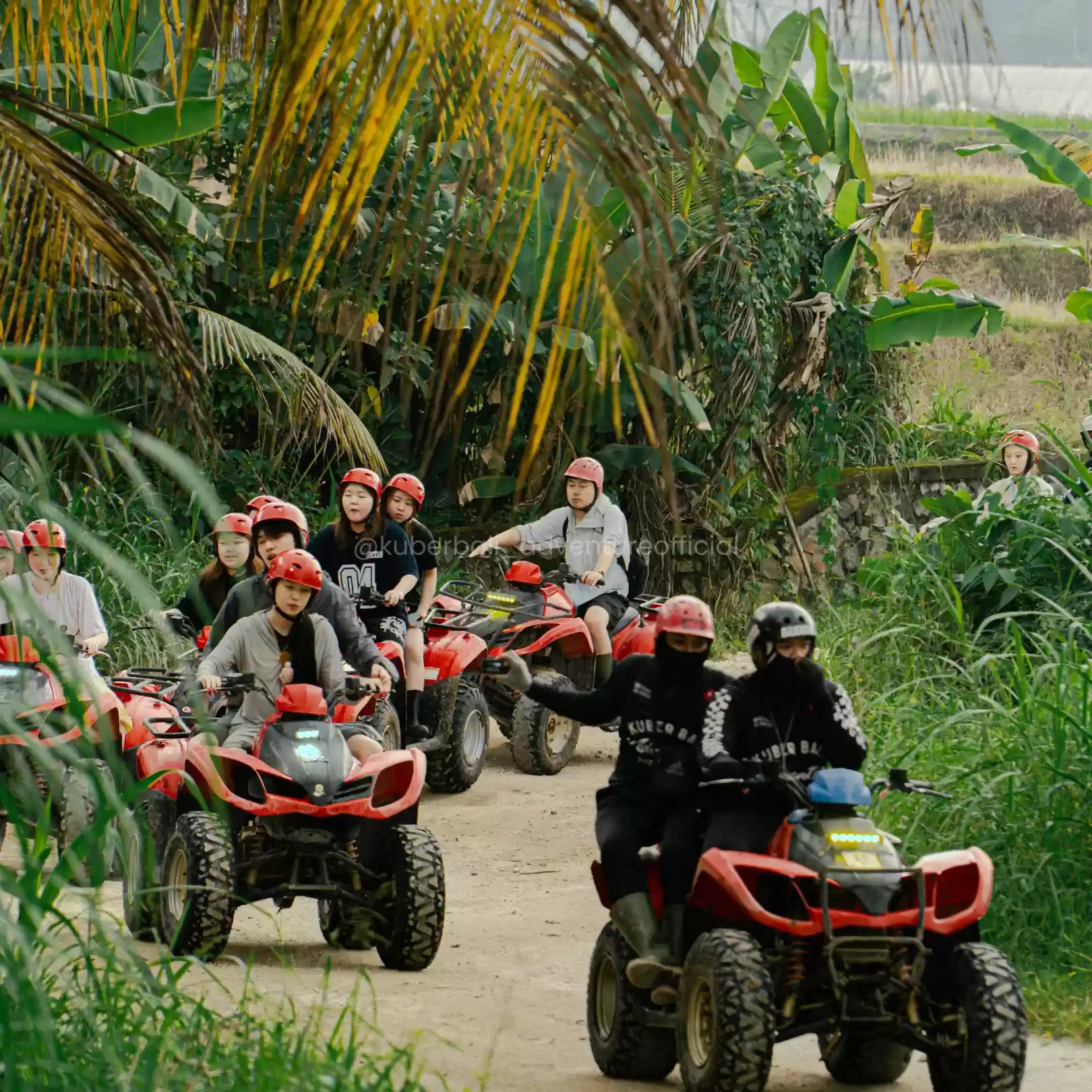The Balinese Rice Field3