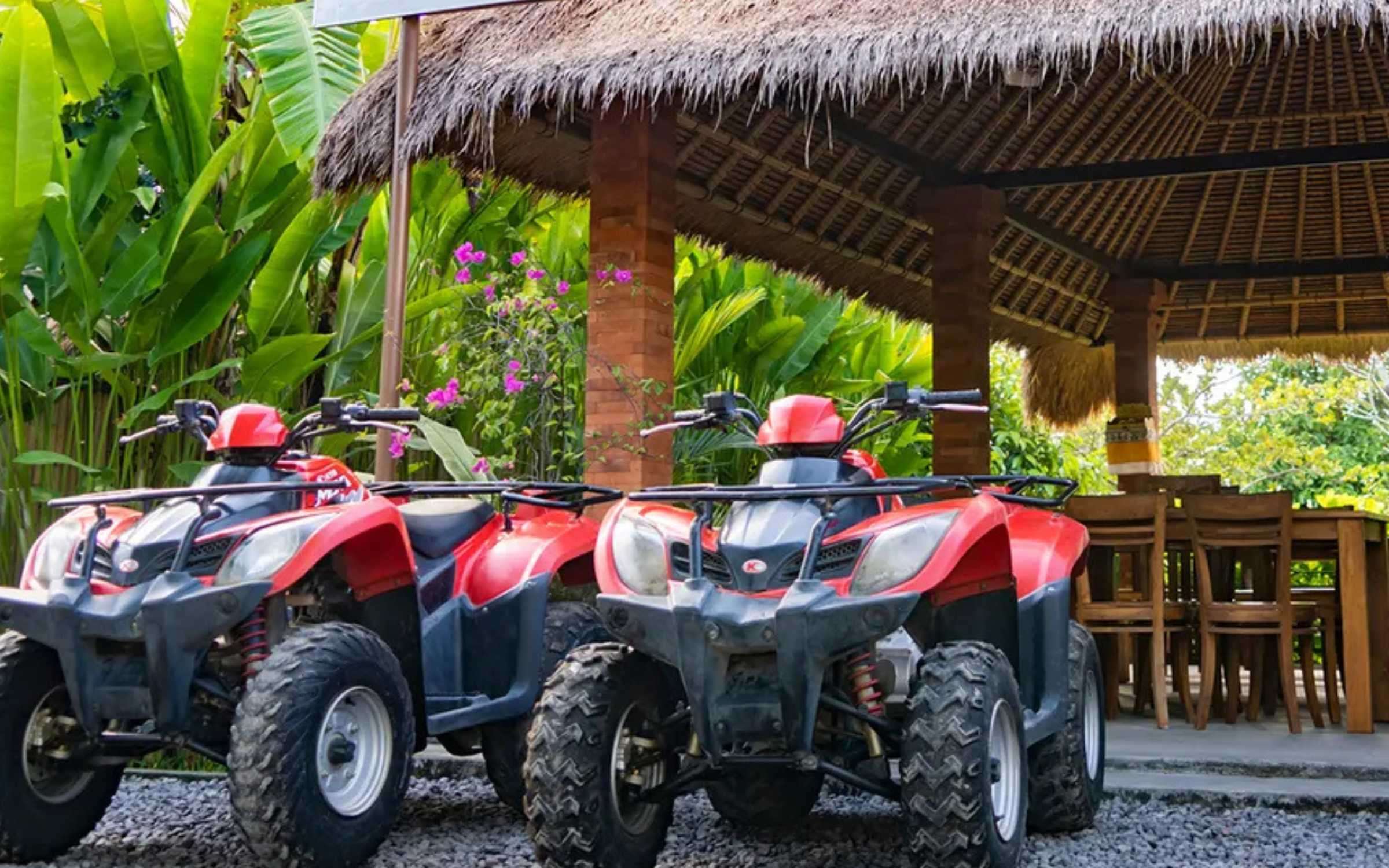 Gorilla Cave Ubud ATV