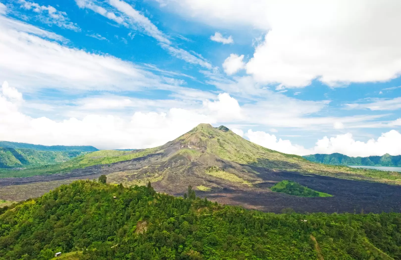 Private Driver for Bali Full-Day Tour 