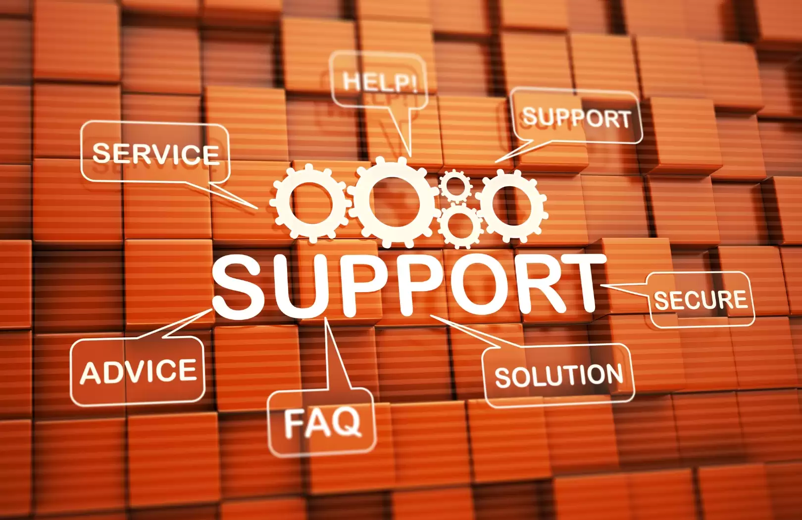 Post-Incorporation Support