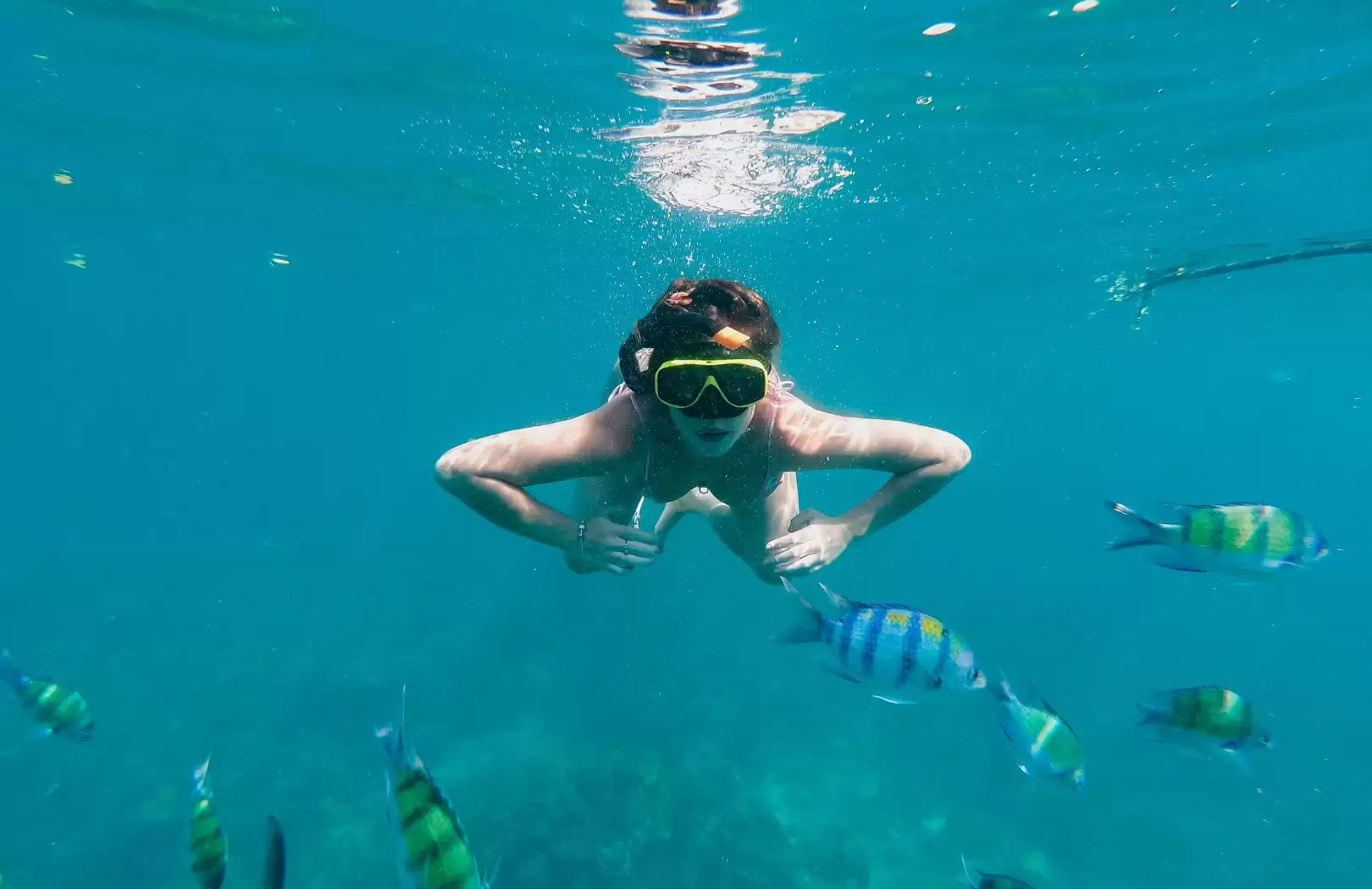 Monkey Bar and Blue Lagoon Snorkeling