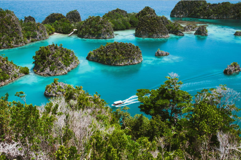 Raja Ampat Islands: Pristine Marine Wonderland