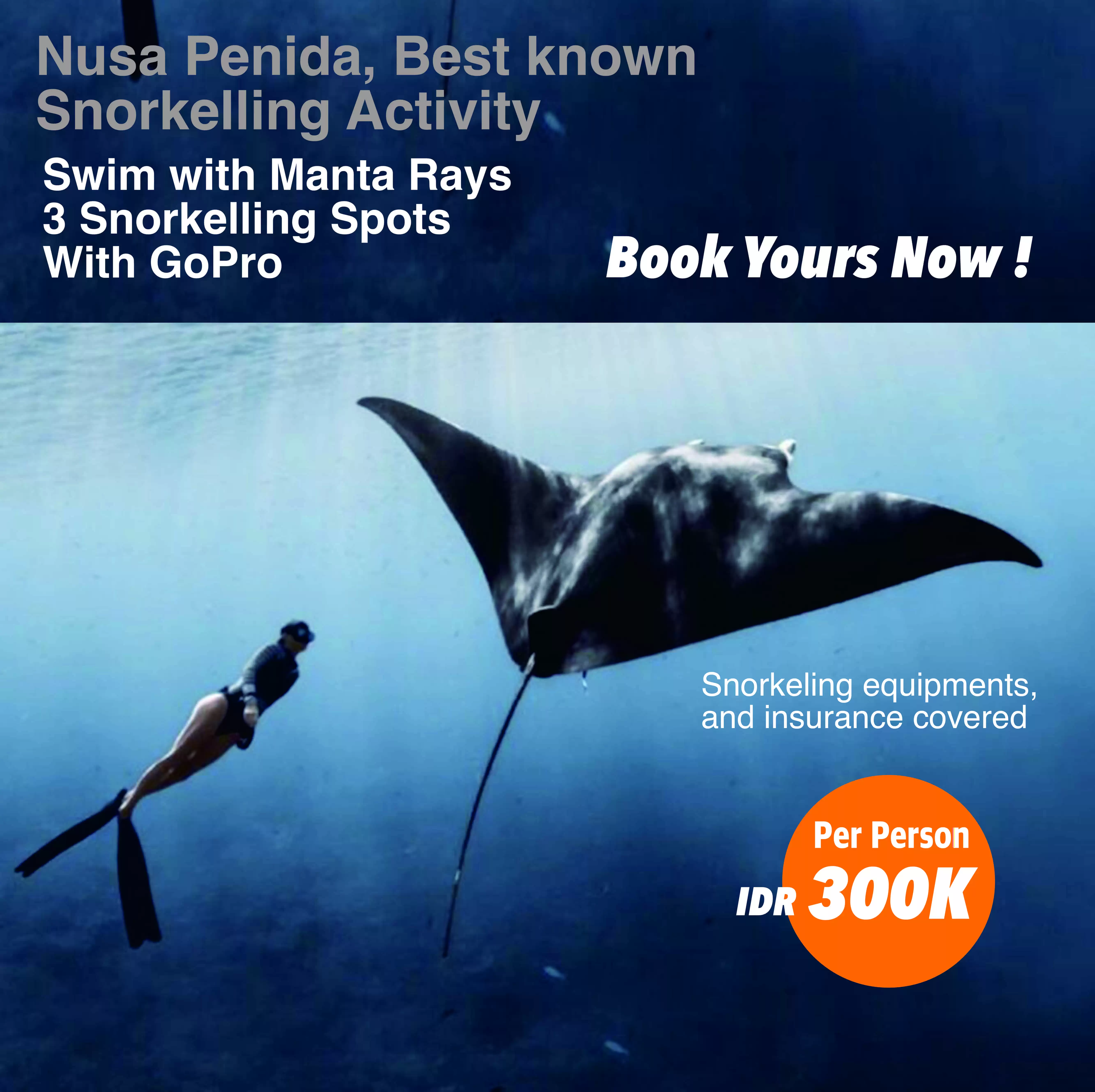 Nusa Penida Snorkeling - Swim with Manta Rays