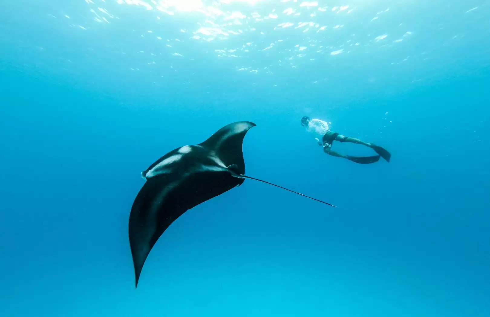 Amed vs Tulamben: Which Bali Dive Destination Should You Choose?