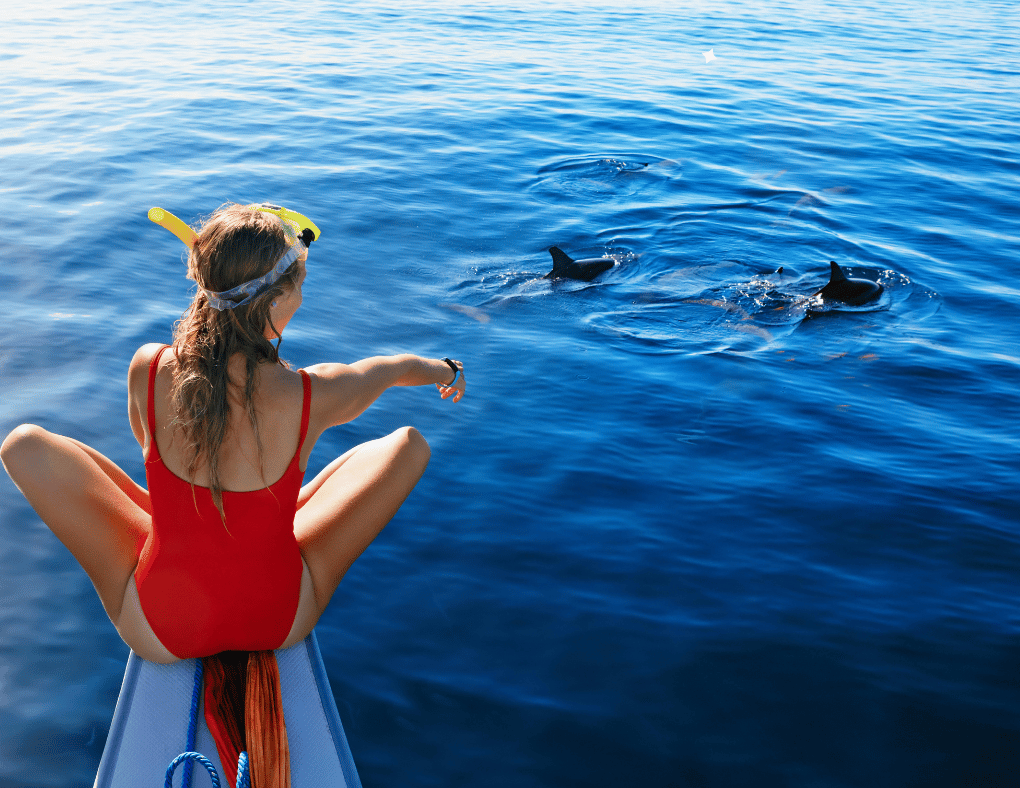 Spot menonton dolphin di Bali