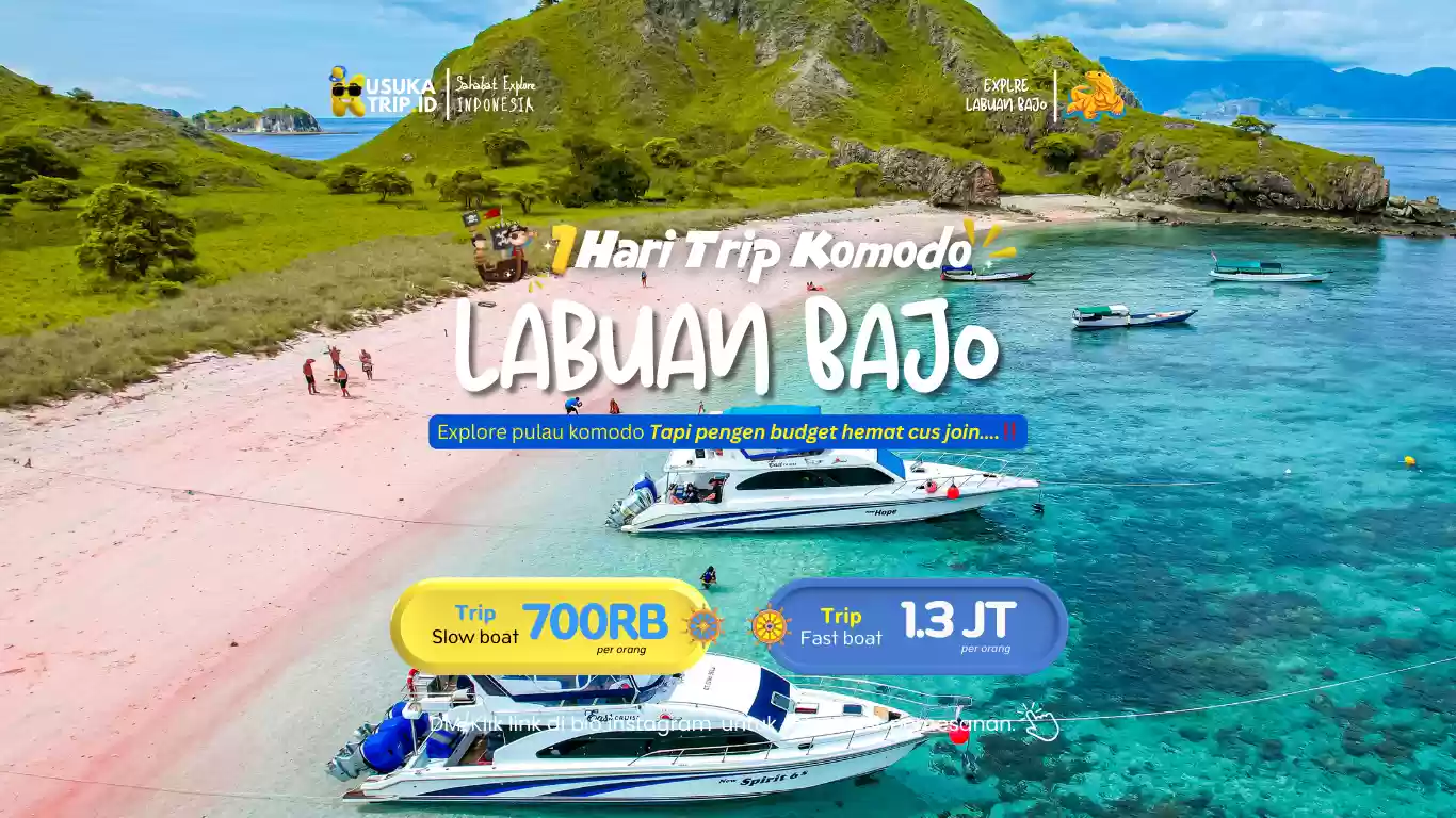 One Day Trip Pulau Komodo  By Fastboat/Slowboat