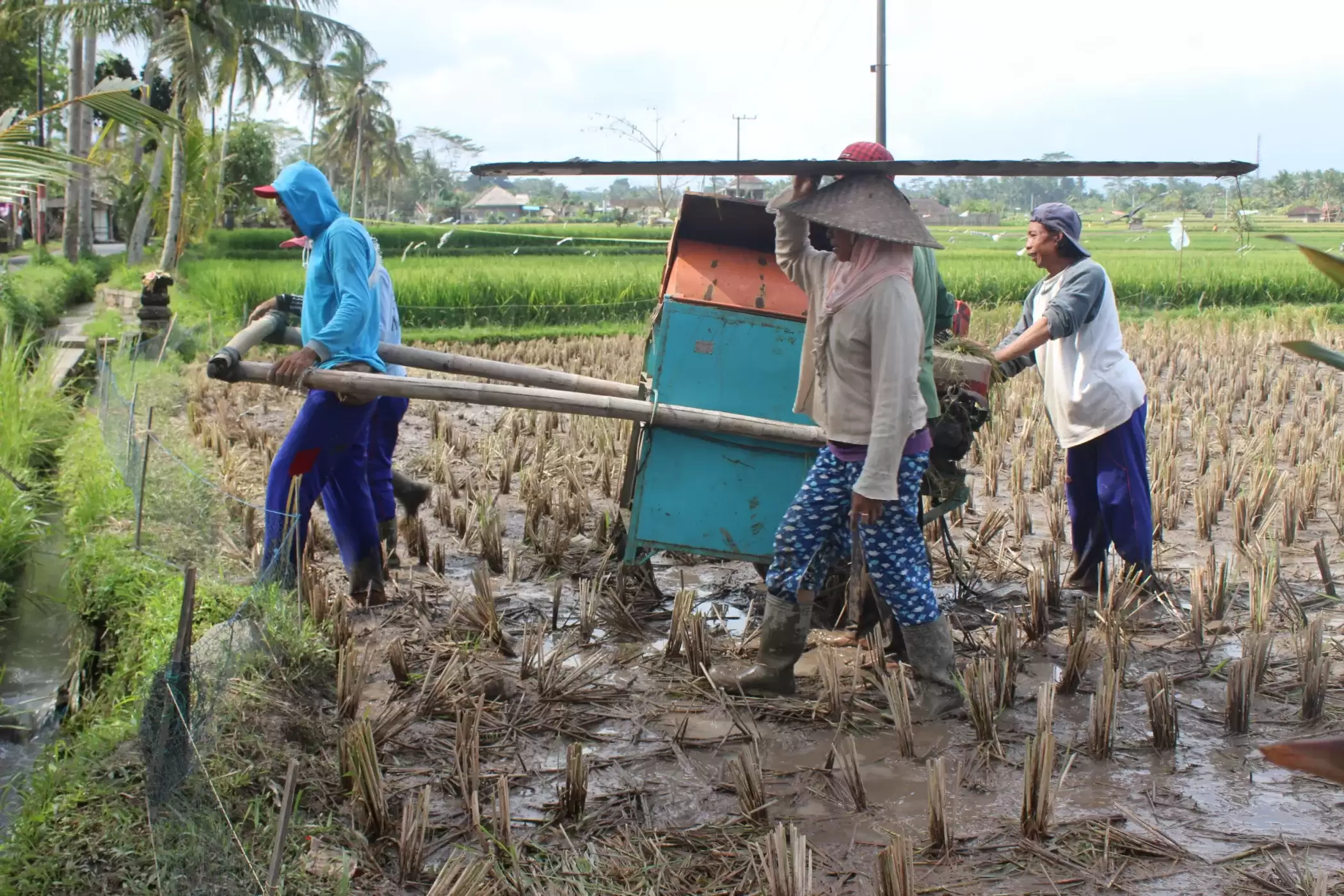 Morning Cooking Class in Ubud