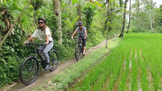 Electric Bike Bali Countryside