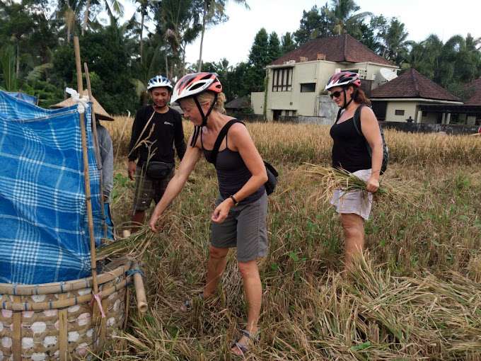 Electric Bike Bali Countryside