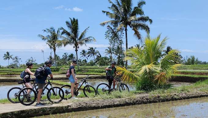 Electric Bike Bali Countryside