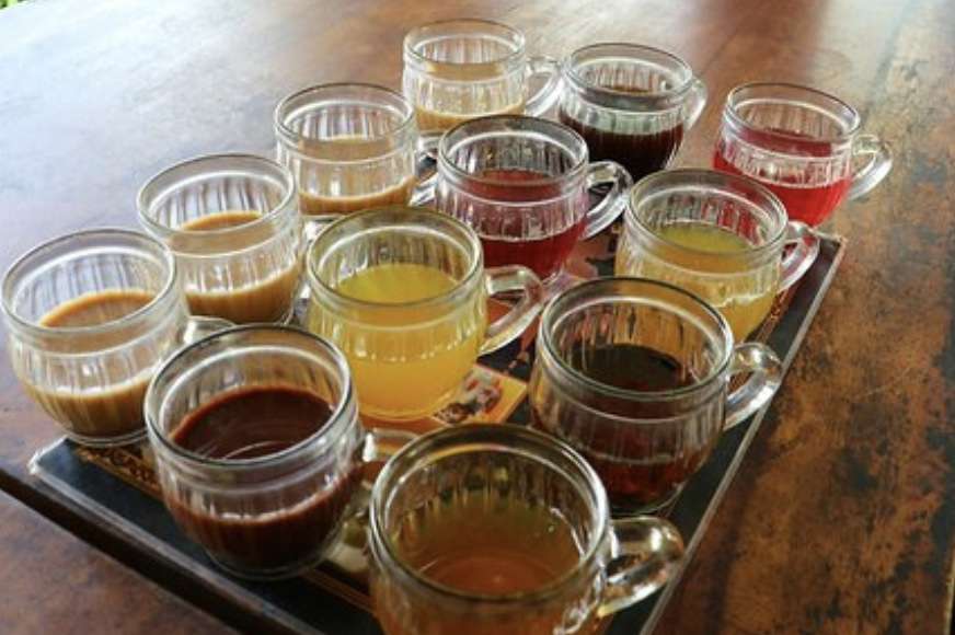 Downhill Cycling Tour + Balinese Cooking Class