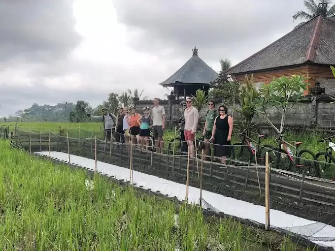 Downhill Cycling with Local Guide - East Ubud