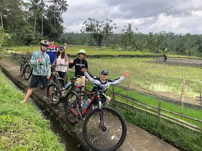 Downhill Cycling with Local Guide - East Ubud