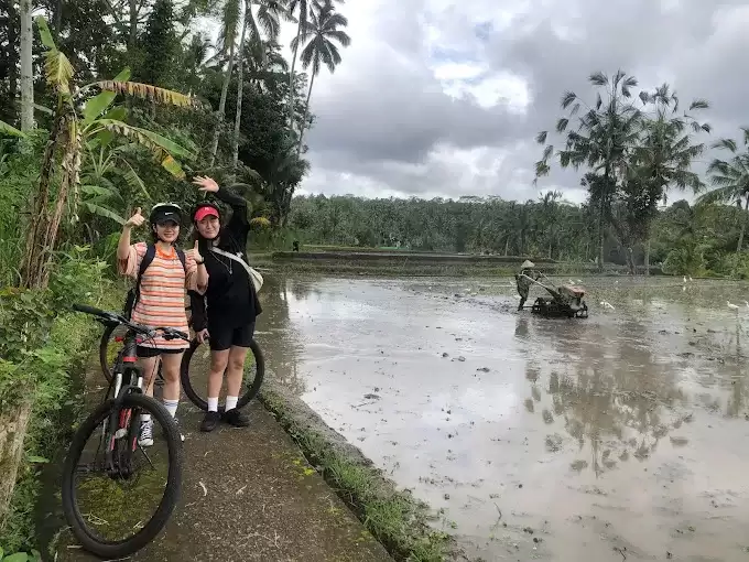 Downhill Cycling with Local Guide - East Ubud