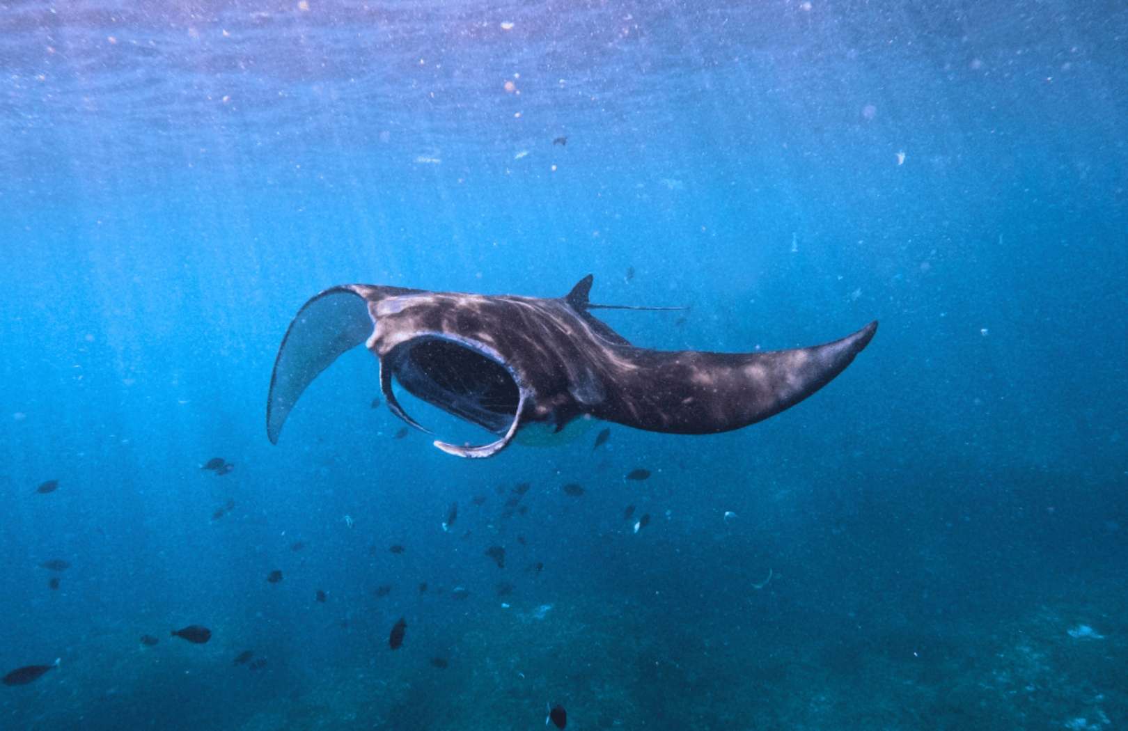 One Day Trip Labuan Bajo