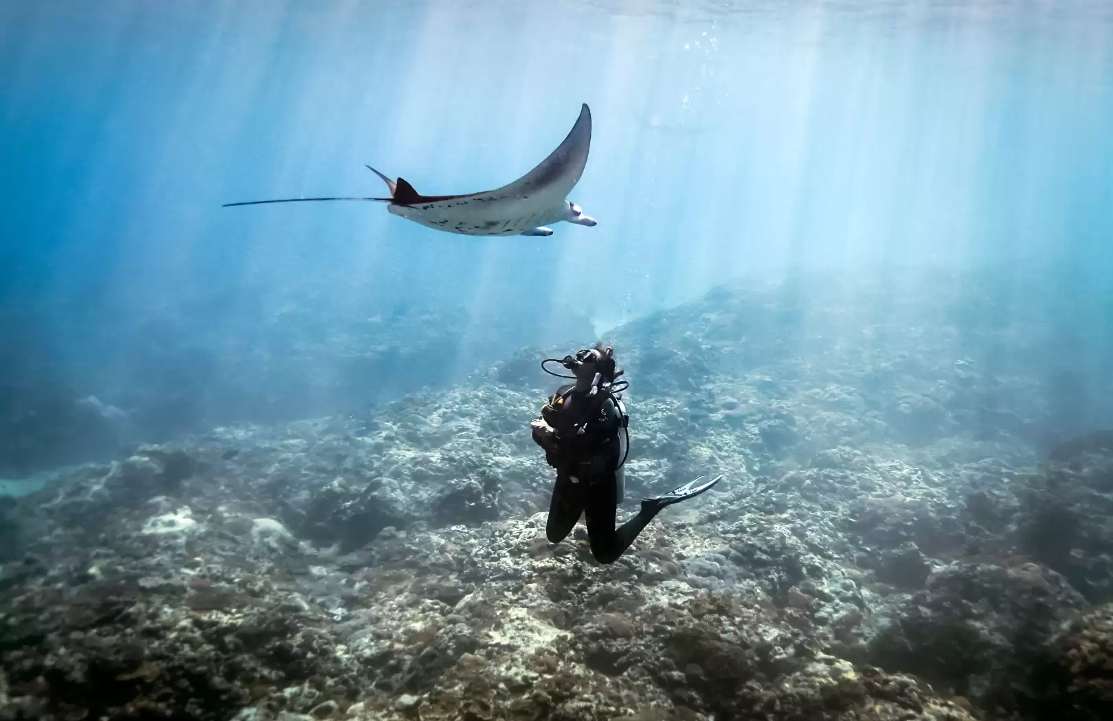 Îles : Gili, Nusa Penida, Nusa Lembongan